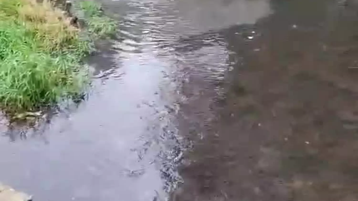 business-suite-creation-1538751547481929.mp4